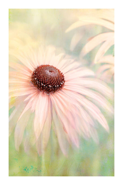 variant-60x90_with-margin