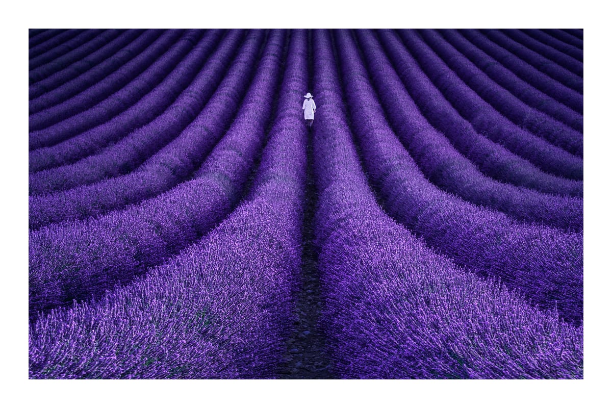 variant-60x90_with-margin