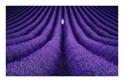 variant-60x90_with-margin