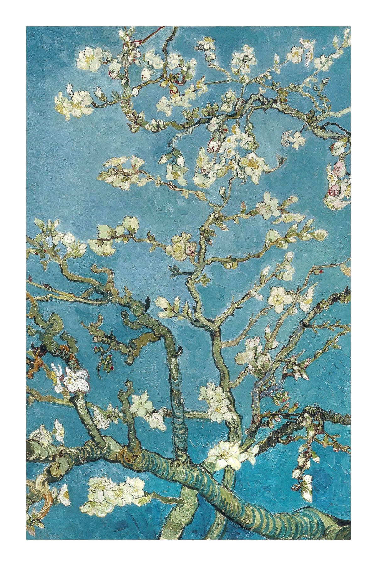 variant-60x90_with-margin
