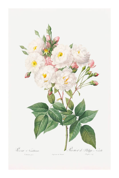 variant-60x90_with-margin