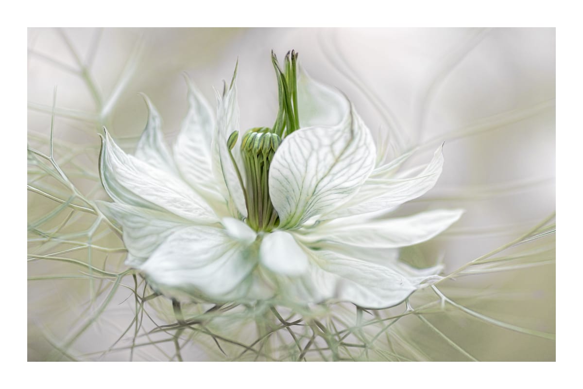 variant-60x90_with-margin