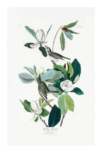 variant-60x90_with-margin