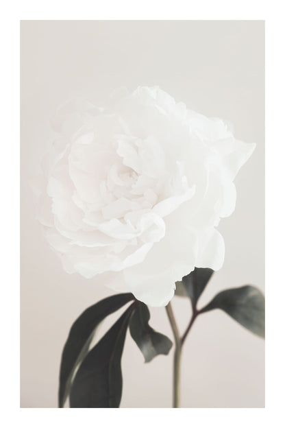 variant-60x90_with-margin