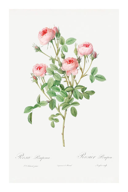variant-60x90_with-margin