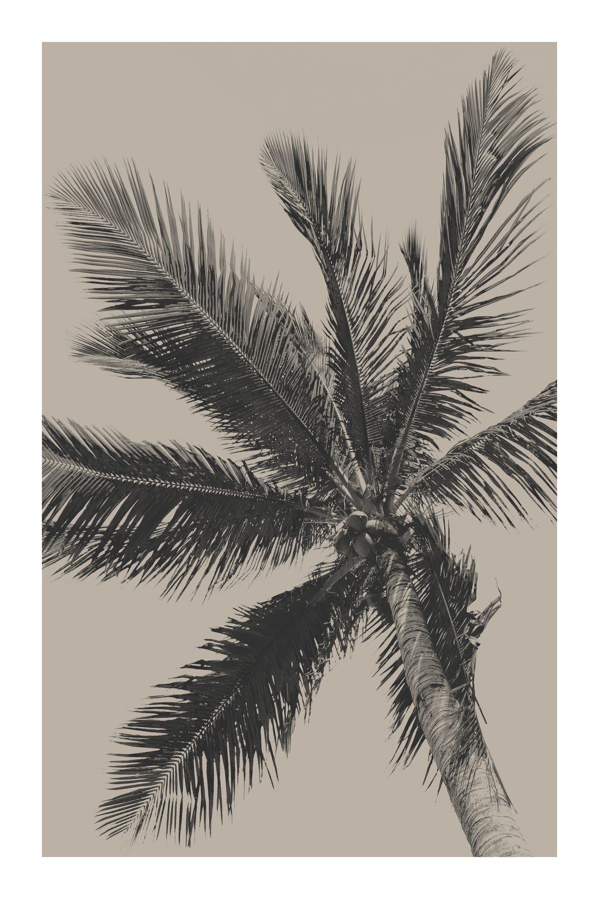 variant-60x90_with-margin