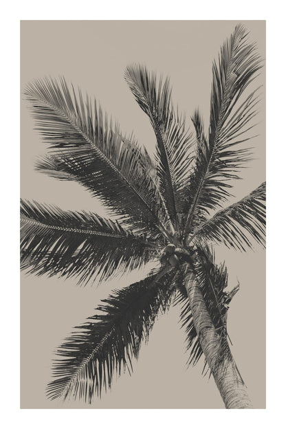 variant-60x90_with-margin