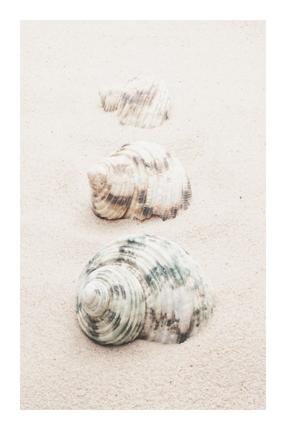 variant-60x90_with-margin