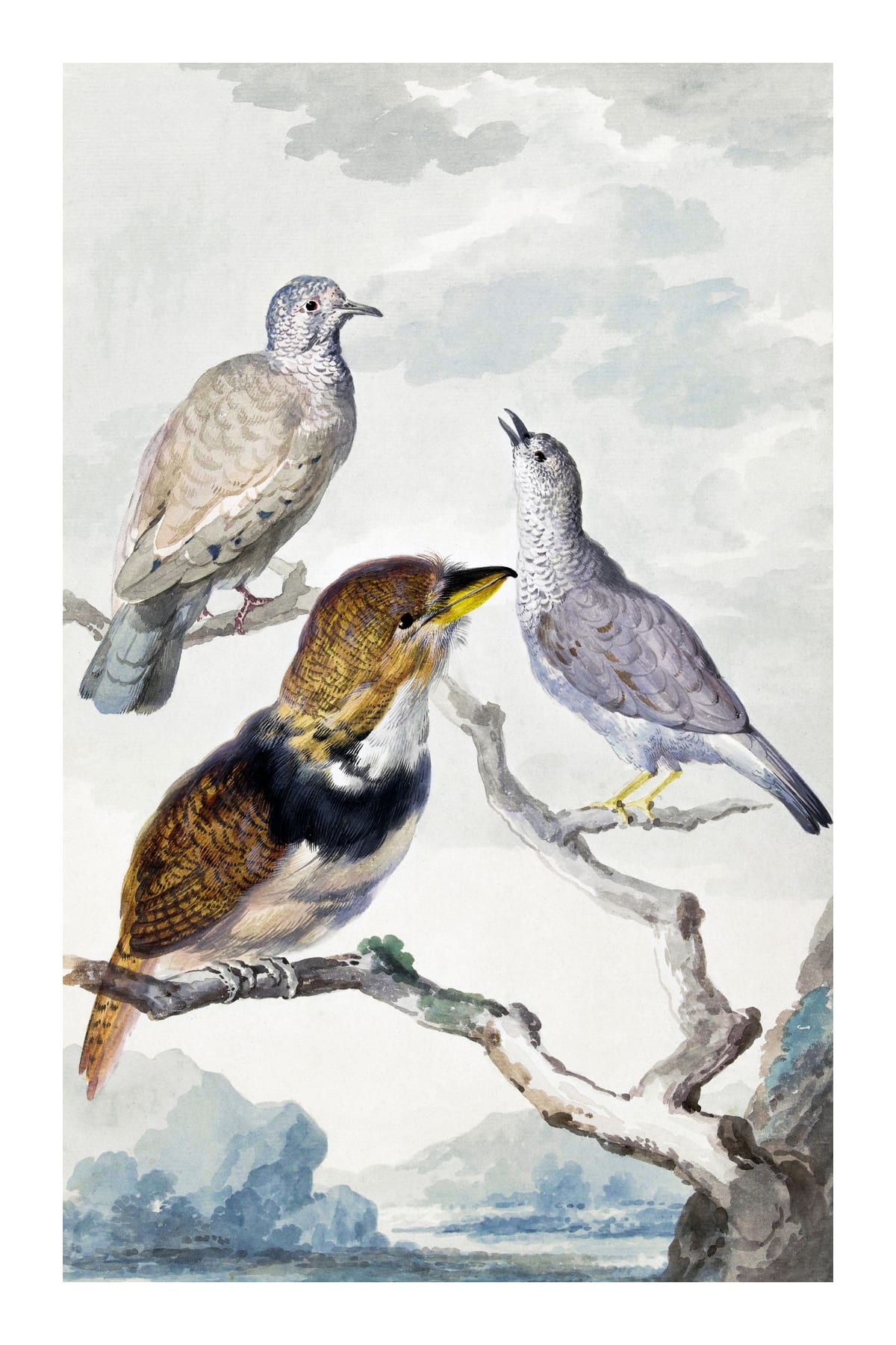variant-60x90_with-margin