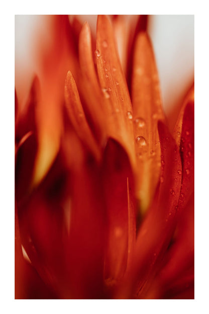 variant-60x90_with-margin