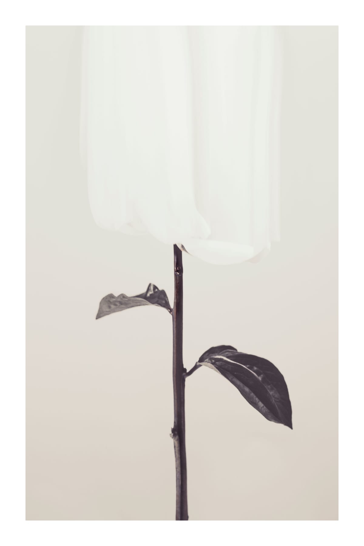 variant-60x90_with-margin