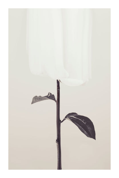 variant-60x90_with-margin