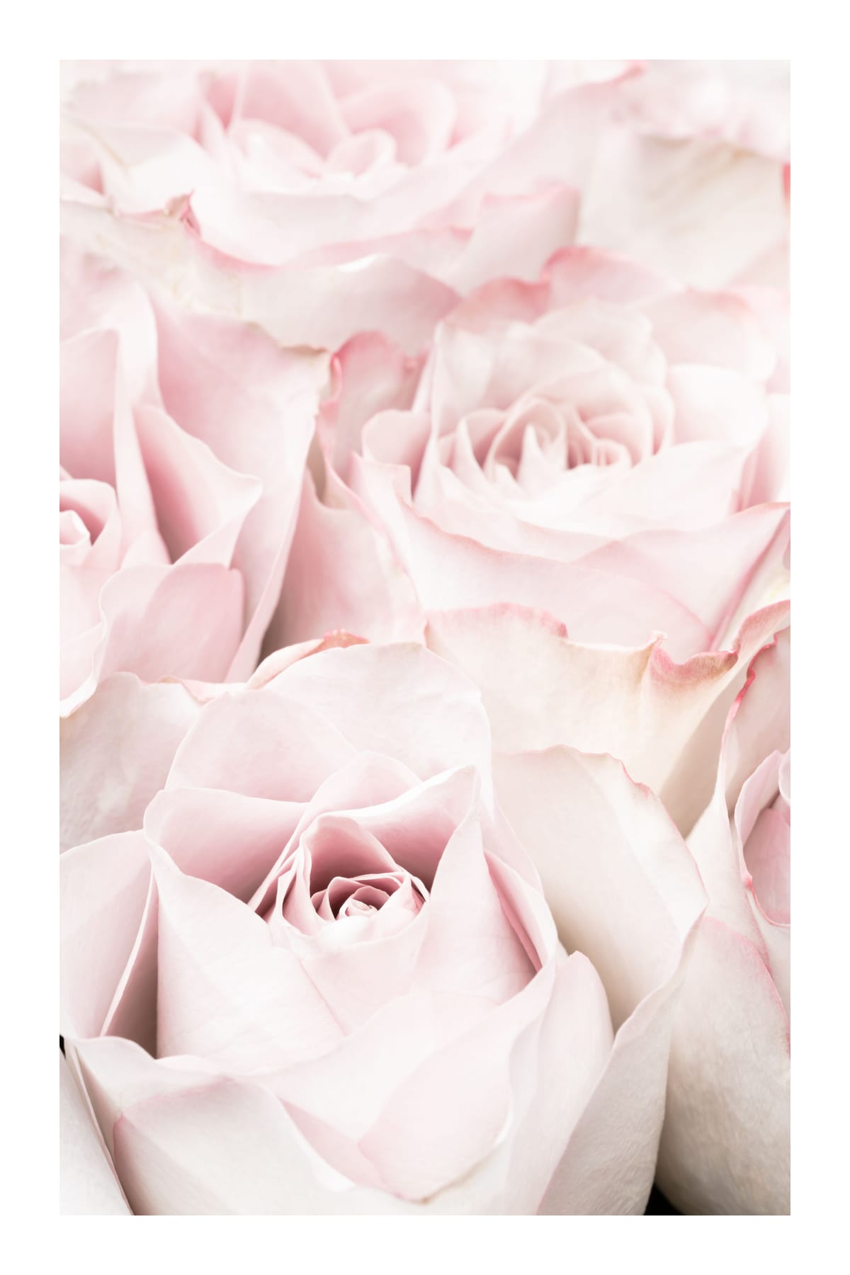 variant-60x90_with-margin