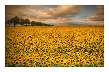 variant-60x90_with-margin
