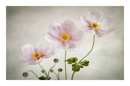 variant-60x90_with-margin