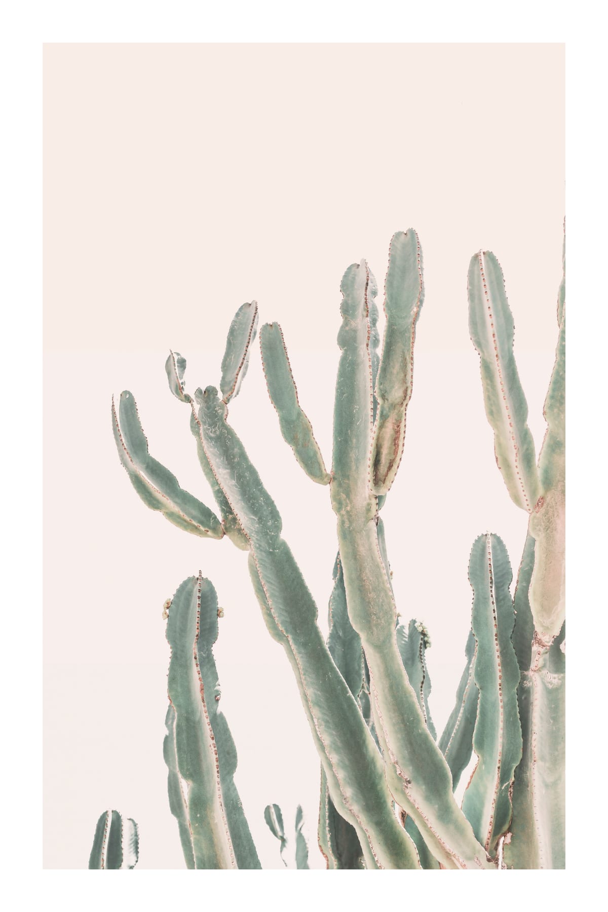 variant-60x90_with-margin