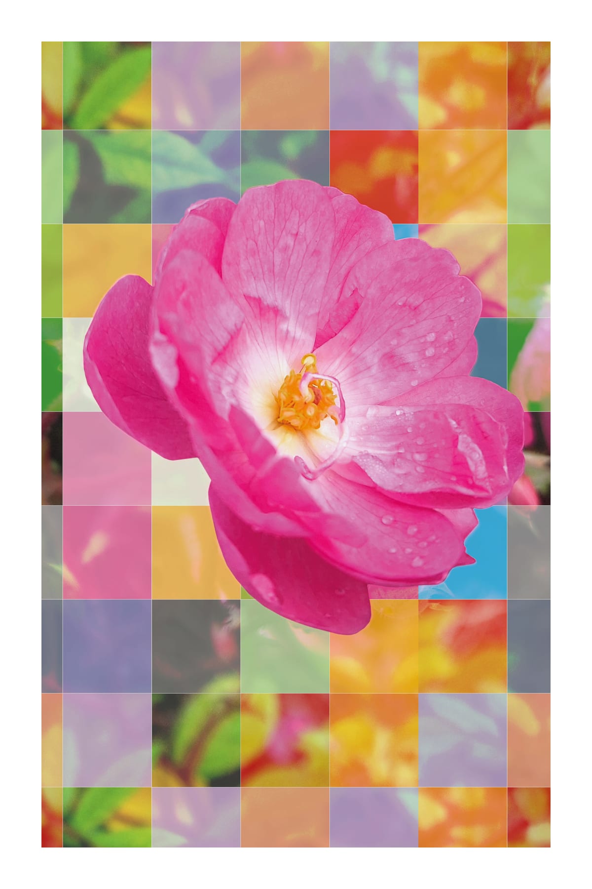 variant-60x90_with-margin