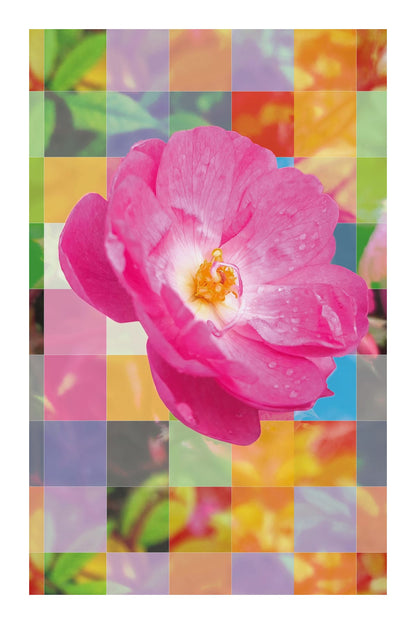 variant-60x90_with-margin