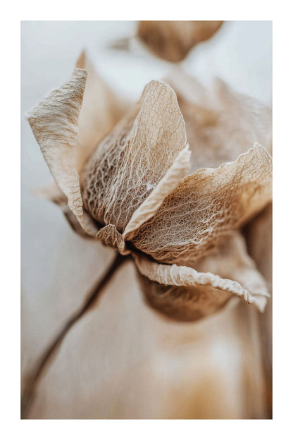 variant-60x90_with-margin