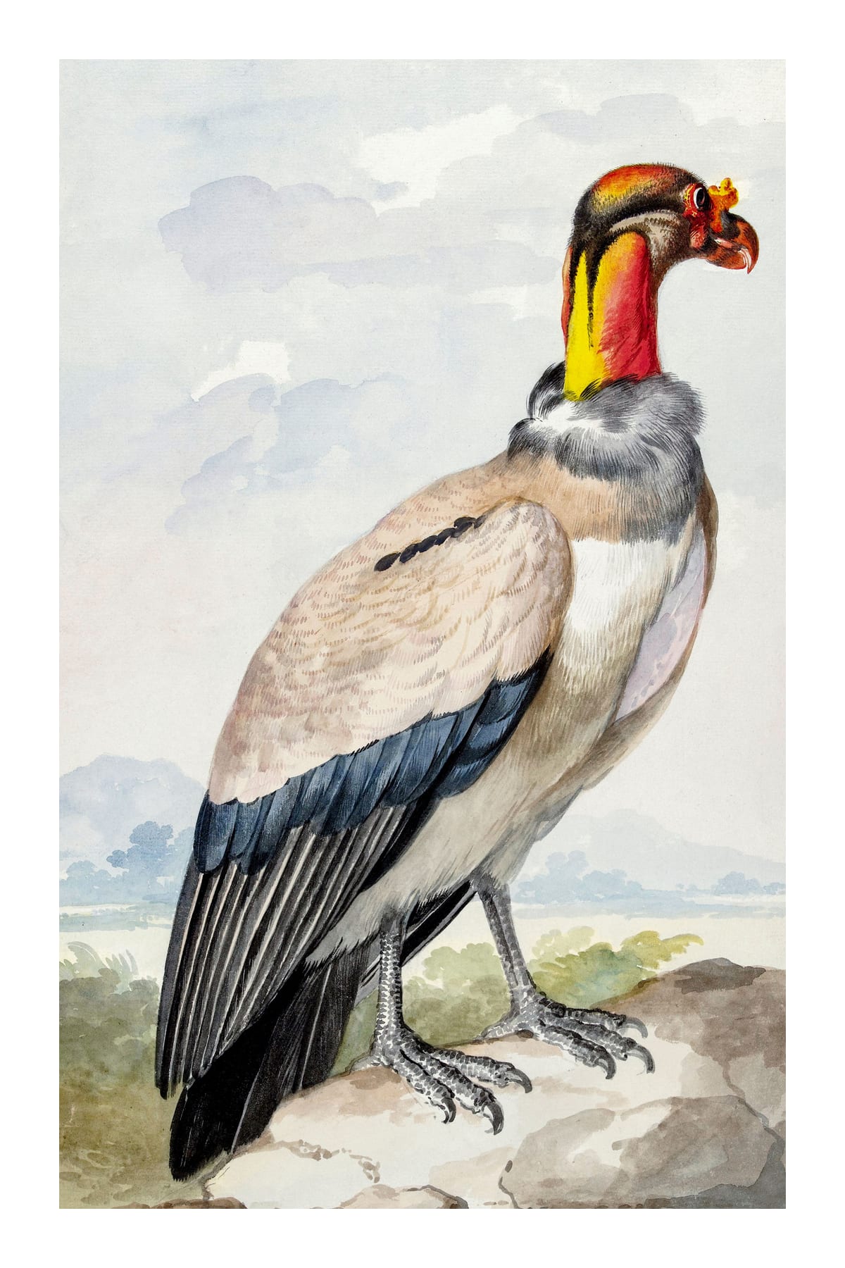 variant-60x90_with-margin