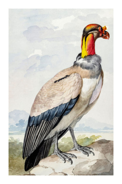 variant-60x90_with-margin