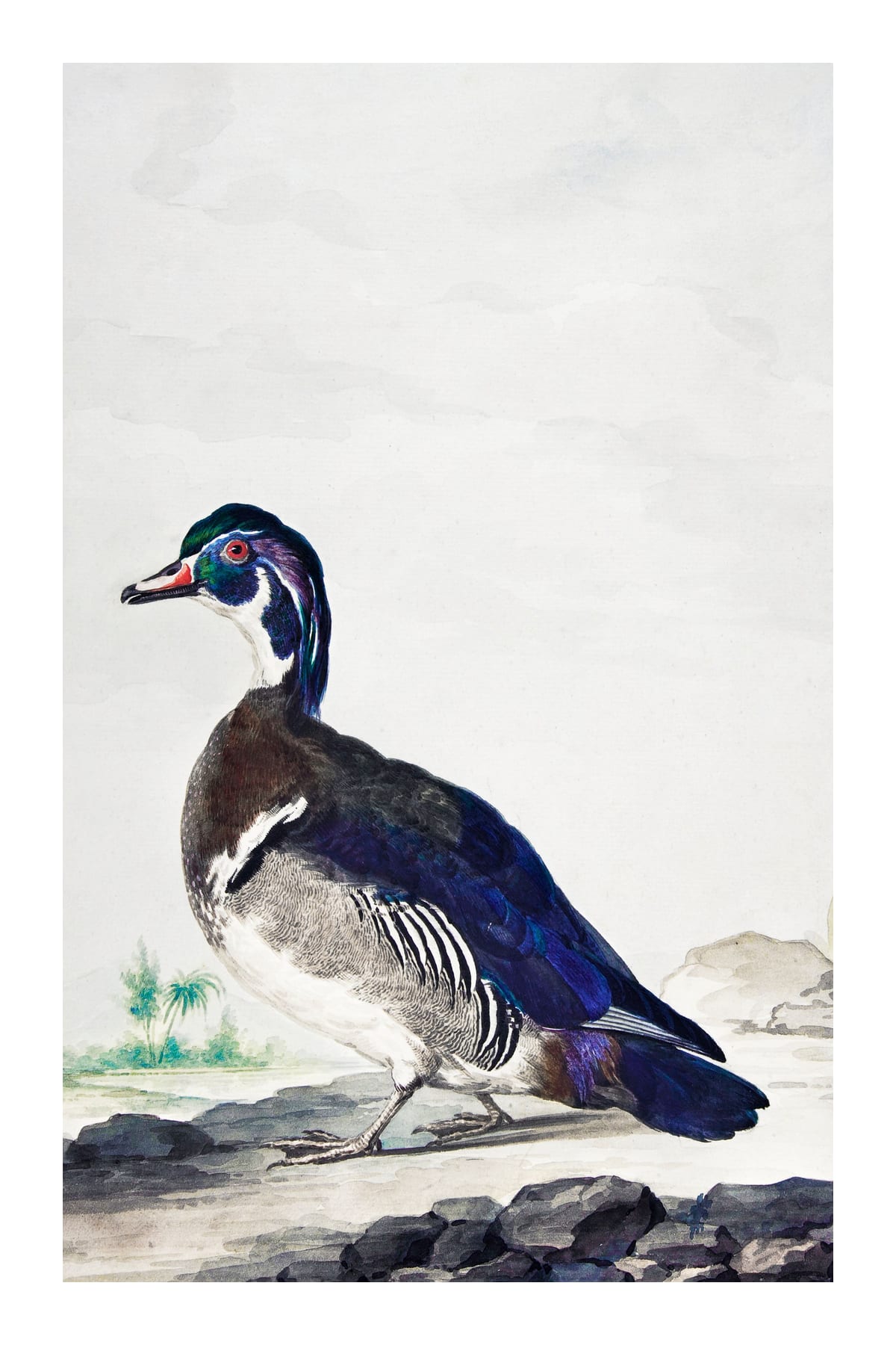variant-60x90_with-margin