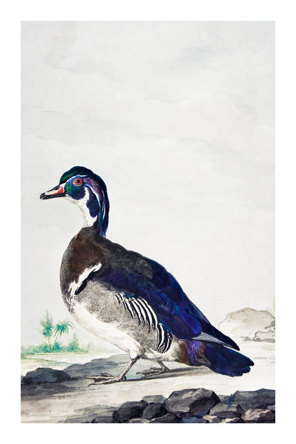 variant-60x90_with-margin