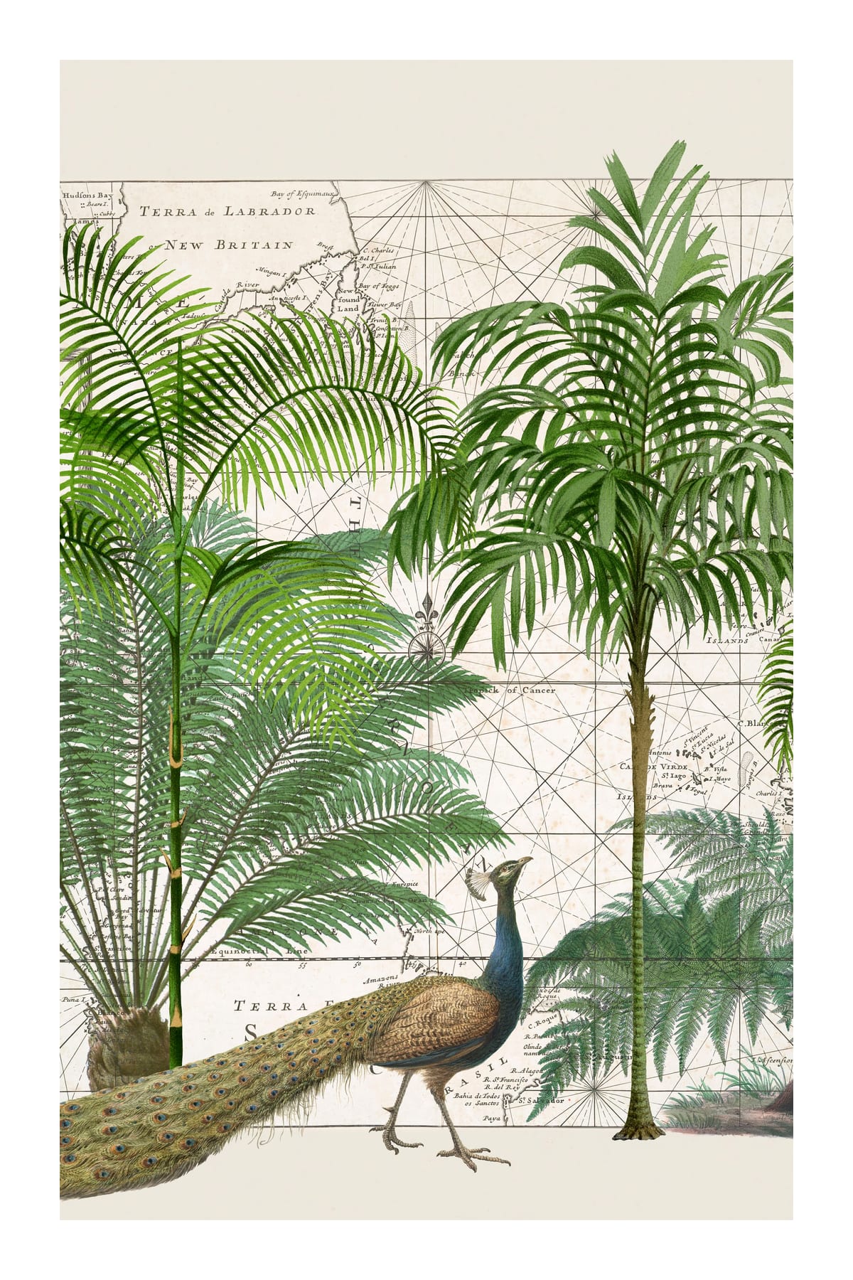 variant-60x90_with-margin
