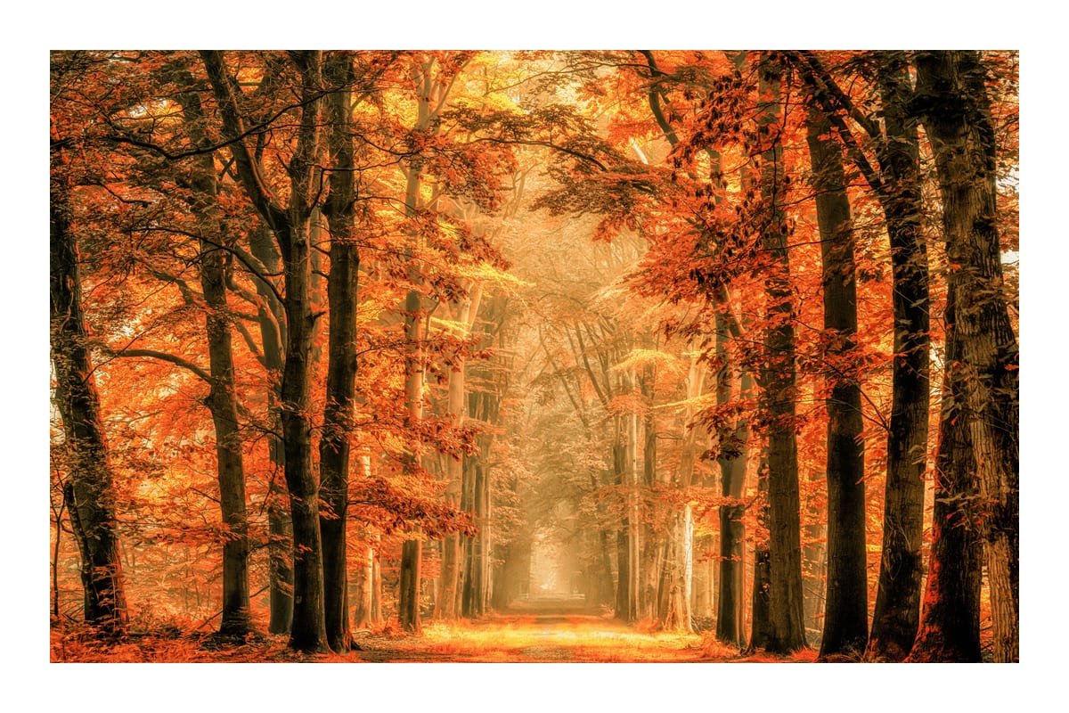 variant-60x90_with-margin