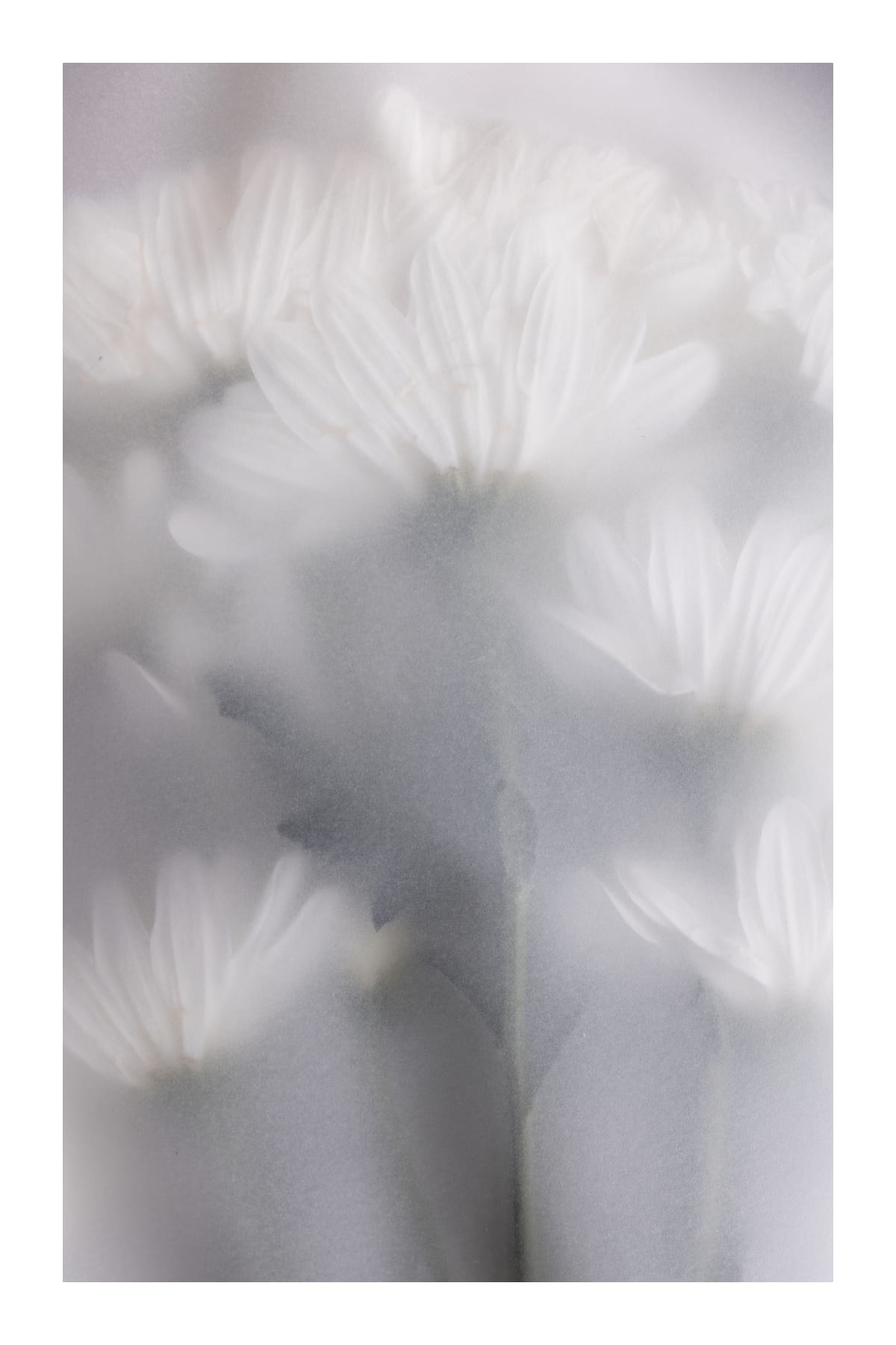 variant-60x90_with-margin