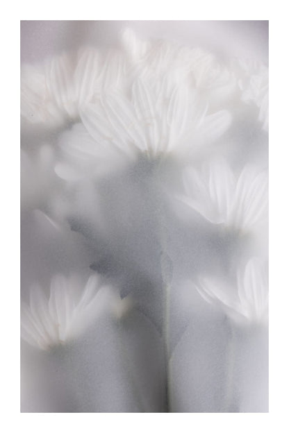 variant-60x90_with-margin