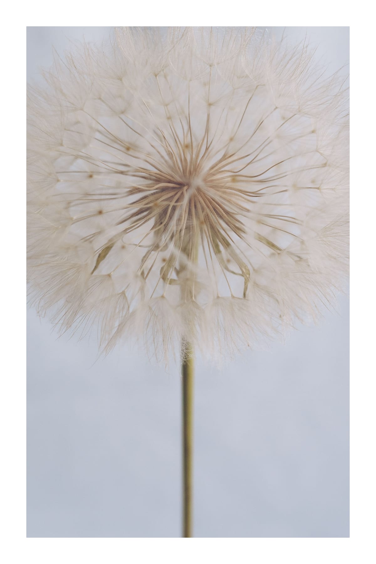 variant-60x90_with-margin