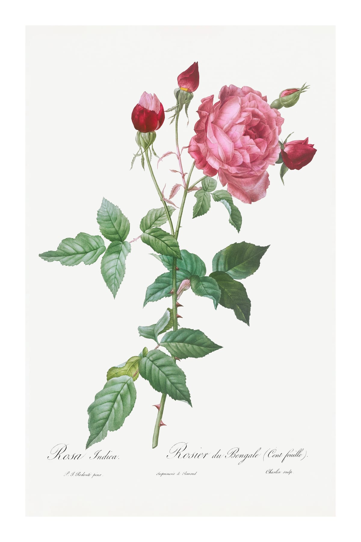 variant-60x90_with-margin