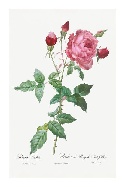 variant-60x90_with-margin