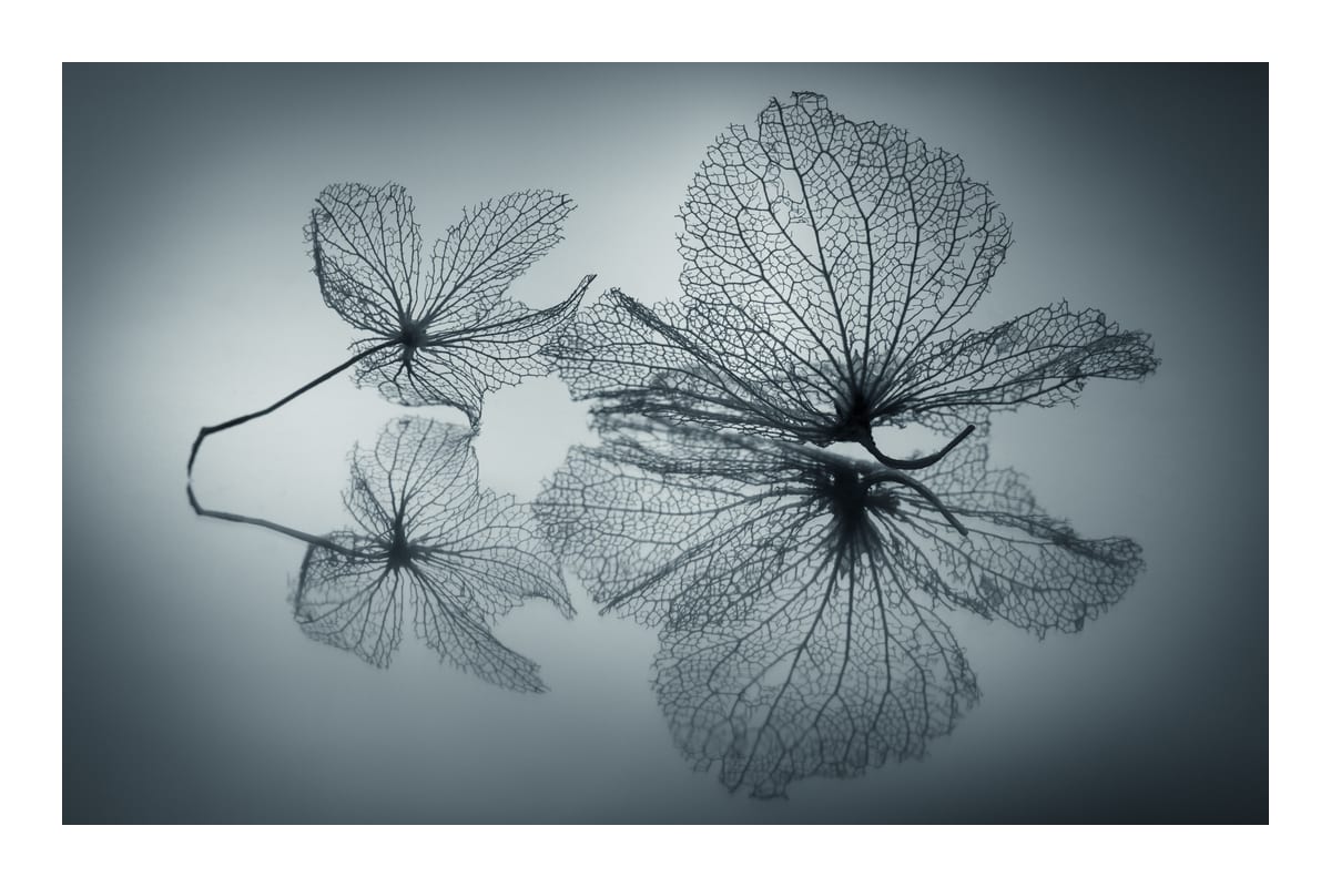 variant-60x90_with-margin