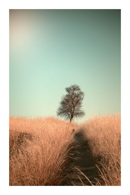 variant-60x90_with-margin