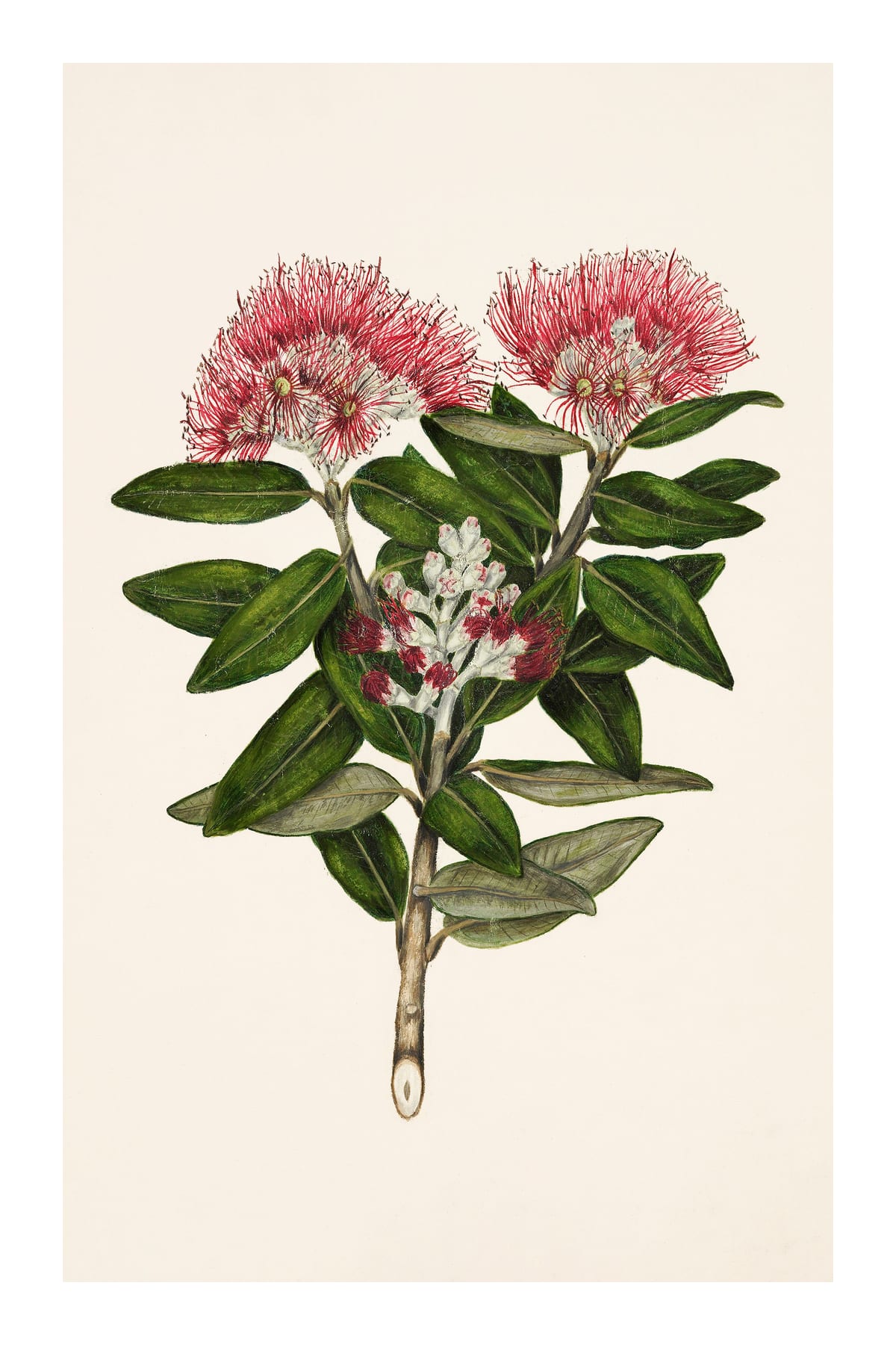 variant-60x90_with-margin