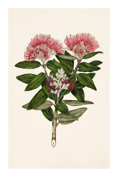 variant-60x90_with-margin