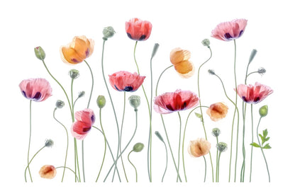 variant-60x90_with-margin