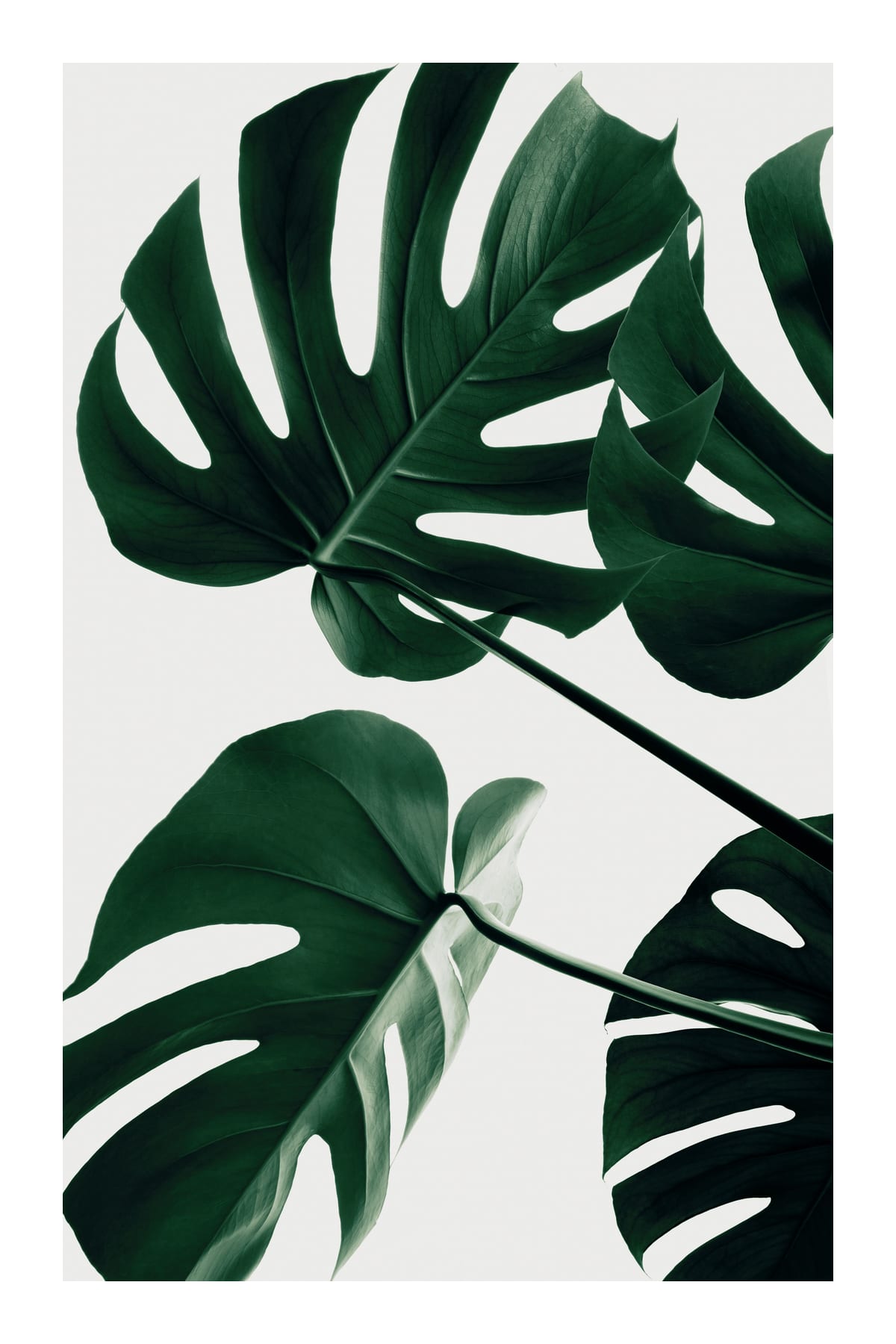 variant-60x90_with-margin