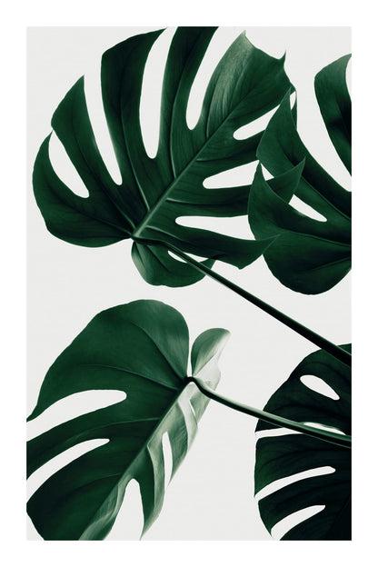 variant-60x90_with-margin