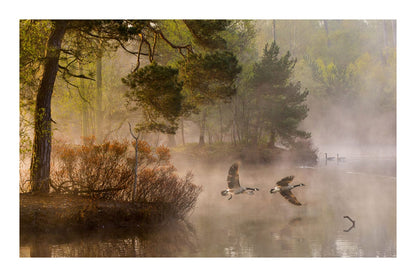 variant-60x90_with-margin