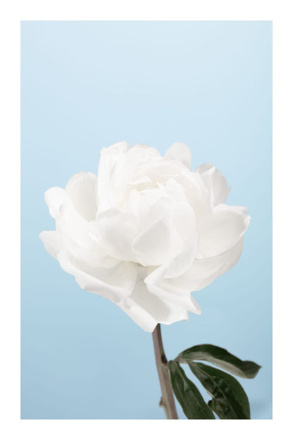 variant-60x90_with-margin