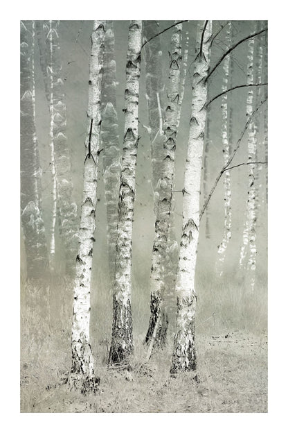 variant-60x90_with-margin