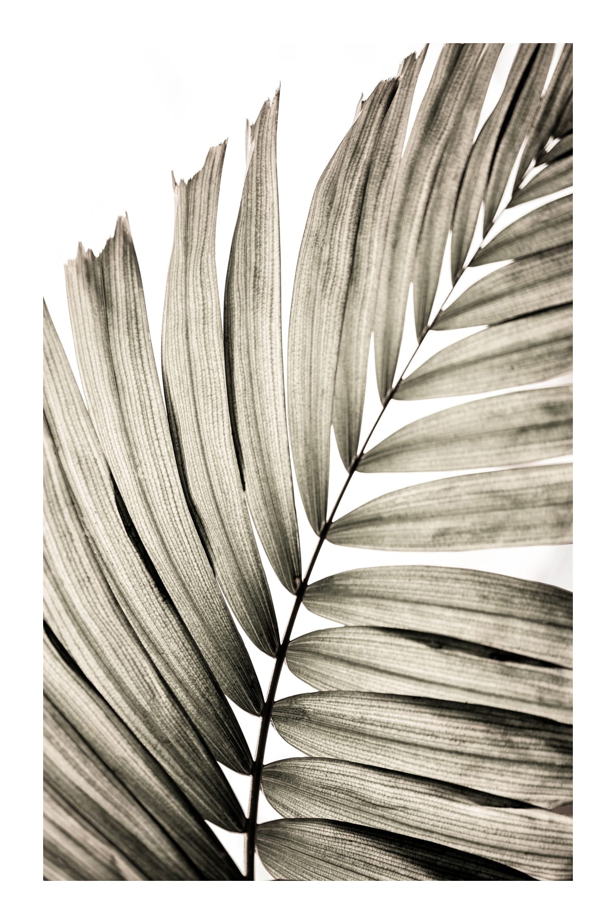 variant-60x90_with-margin