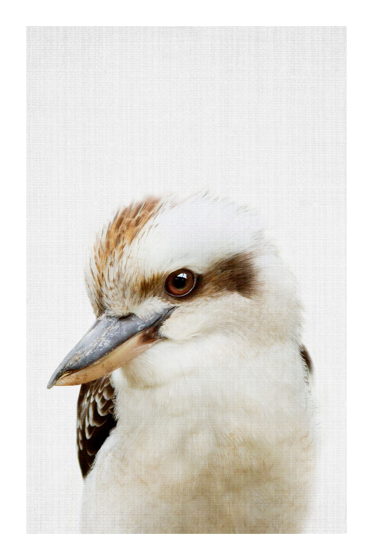 variant-60x90_with-margin