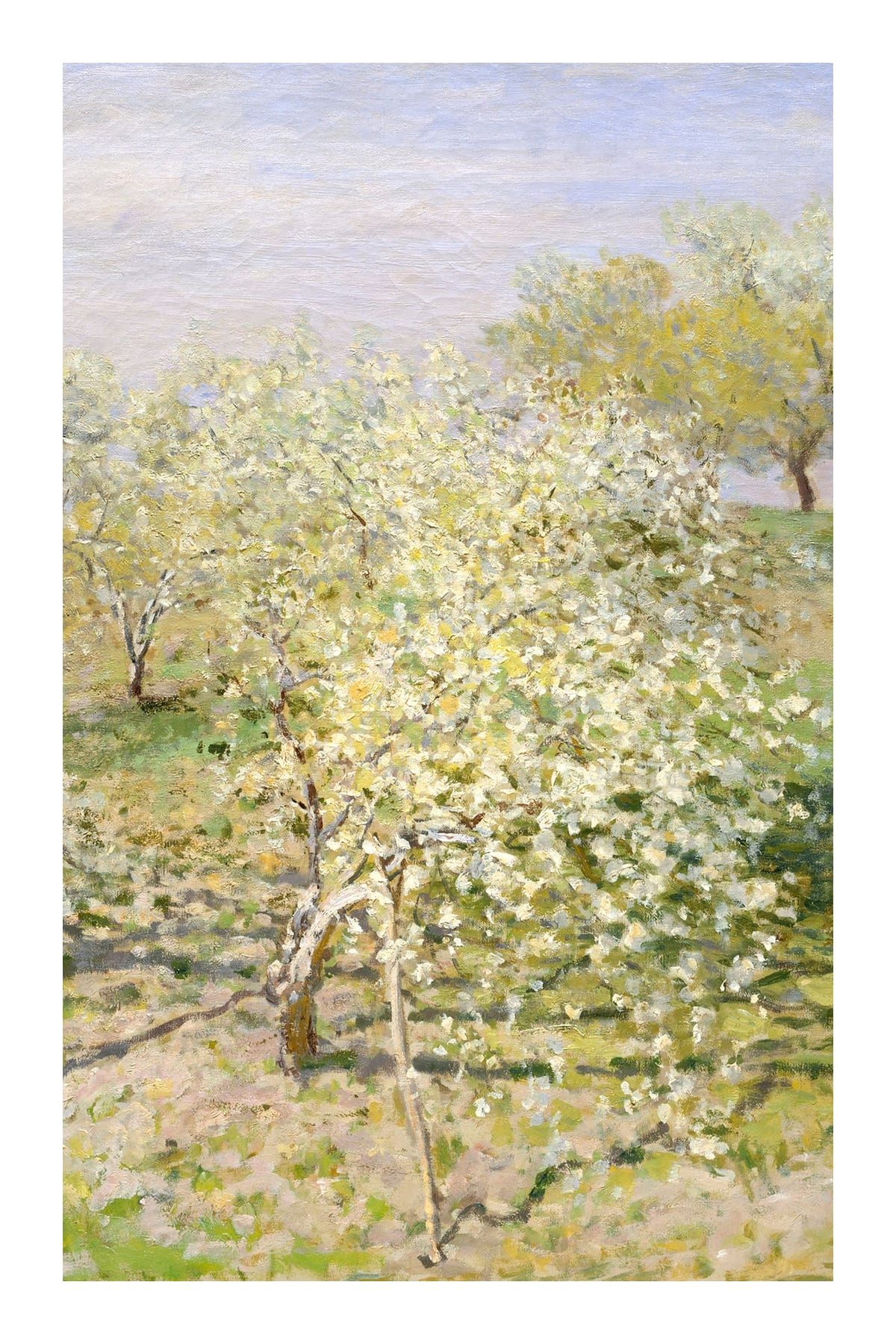 variant-60x90_with-margin