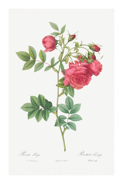 variant-60x90_with-margin