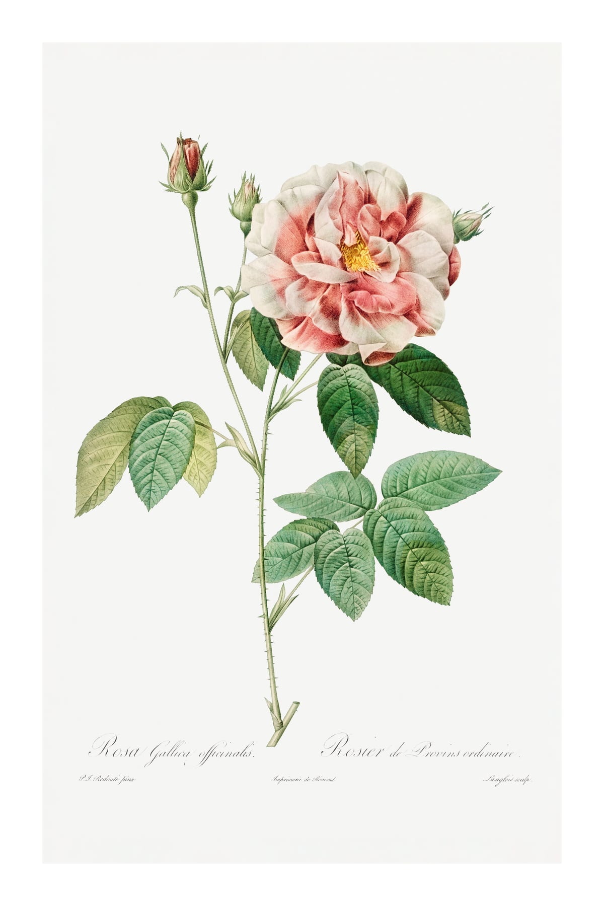 variant-60x90_with-margin