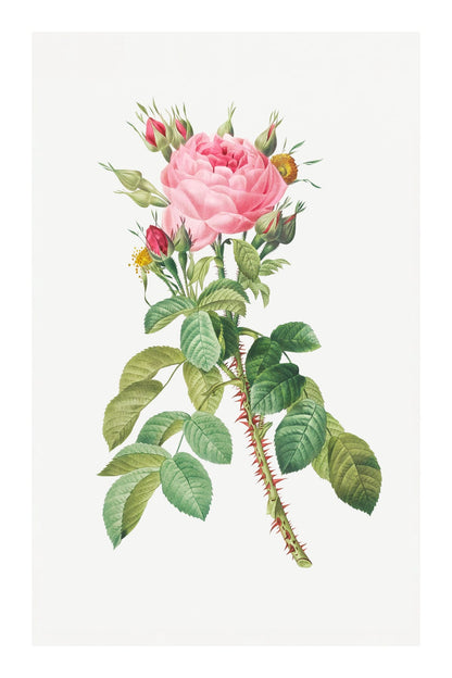 variant-60x90_with-margin